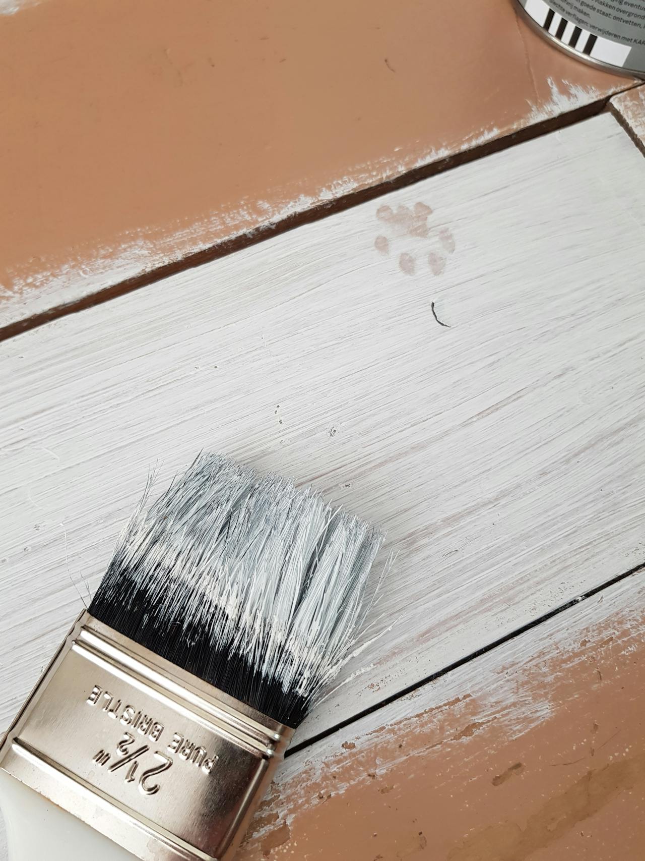 pexels anoukdoe 1566994